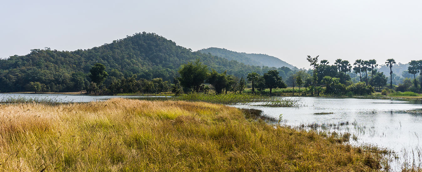 Jambughoda Wildlife Sanctuary